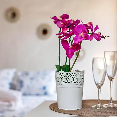 Estudio Alojamiento Orquidea Holiday home