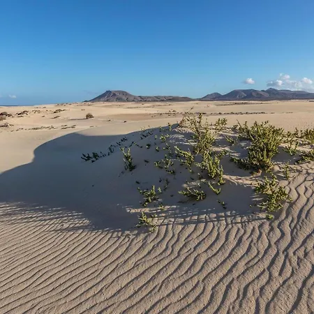 Casa vacanze Estudio Alojamiento Orquidea *